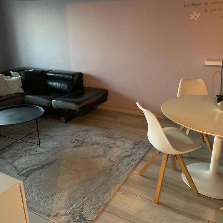 Superbe Appartement Avec Place De Parking Gratuit 스트라스부르 외부 사진