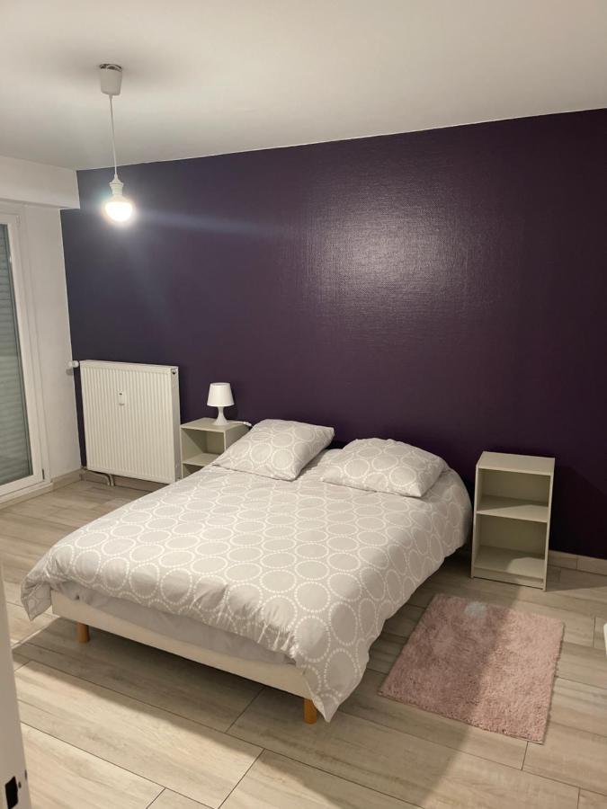 Superbe Appartement Avec Place De Parking Gratuit 스트라스부르 외부 사진